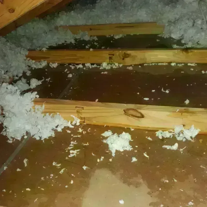 Attic Water Damage in South Rosemary, NC