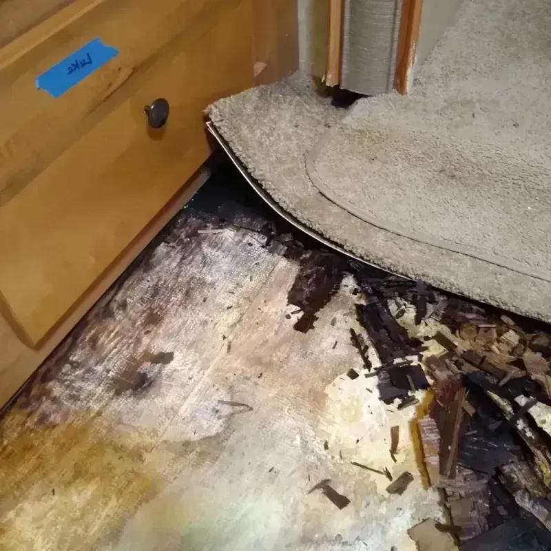 Wood Floor Water Damage in South Rosemary, NC